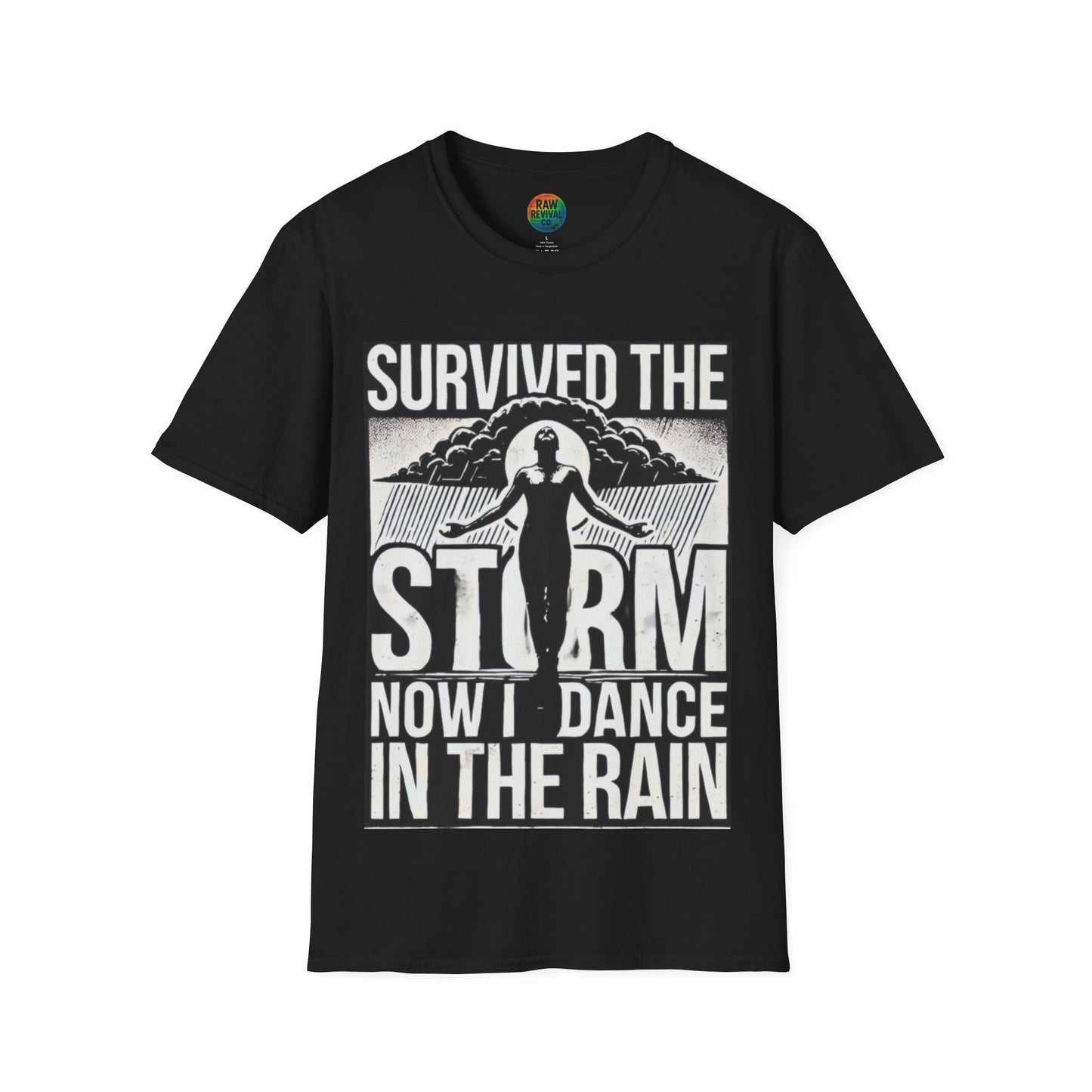 Survived the Storm
