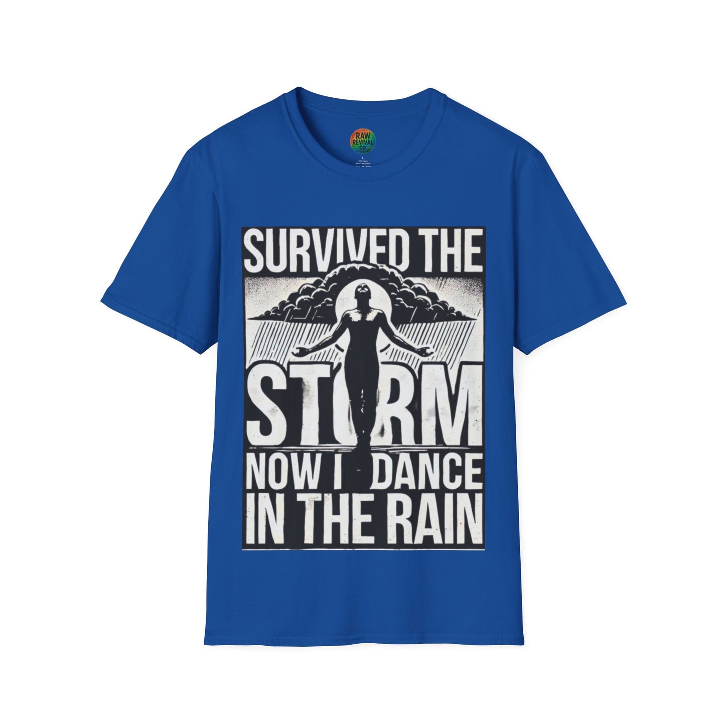 Survived the Storm