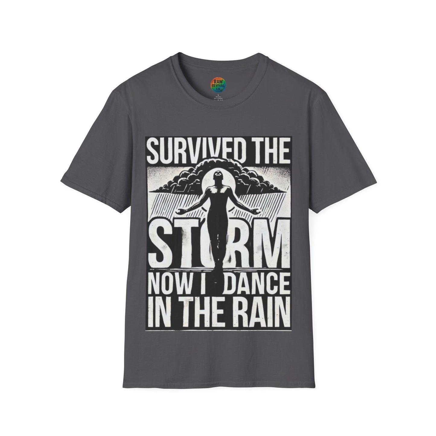 Survived the Storm