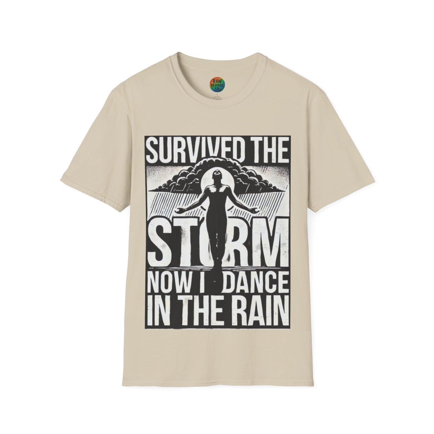 Survived the Storm