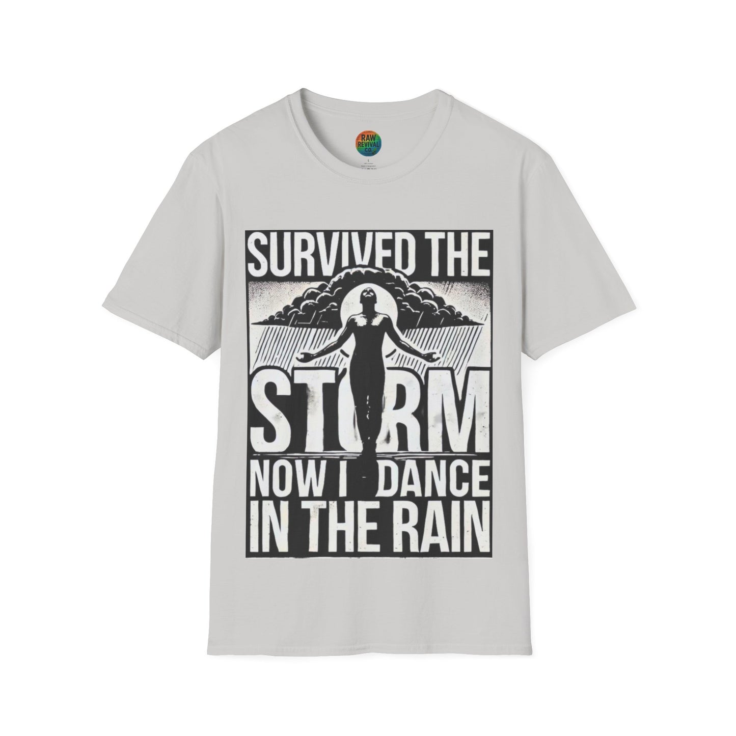 Survived the Storm