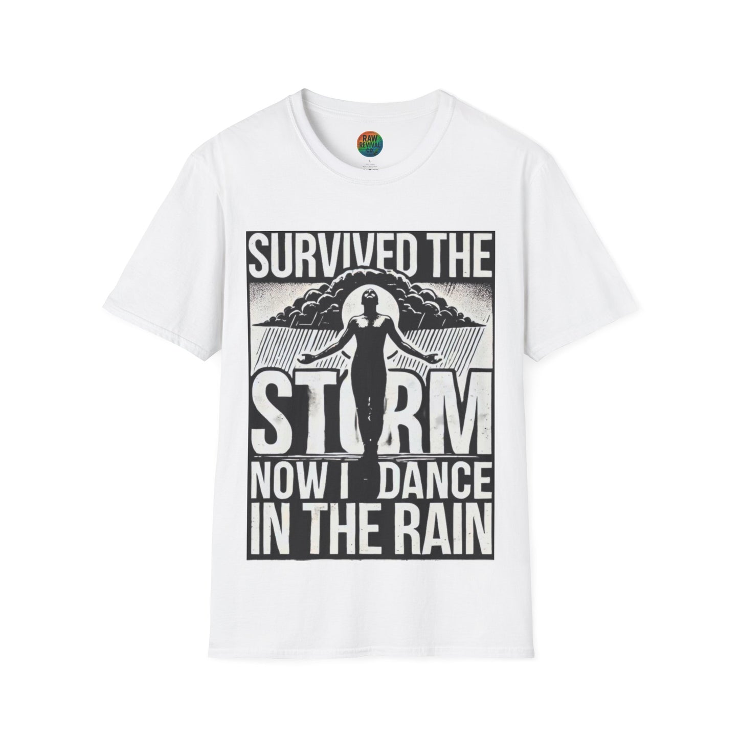 Survived the Storm