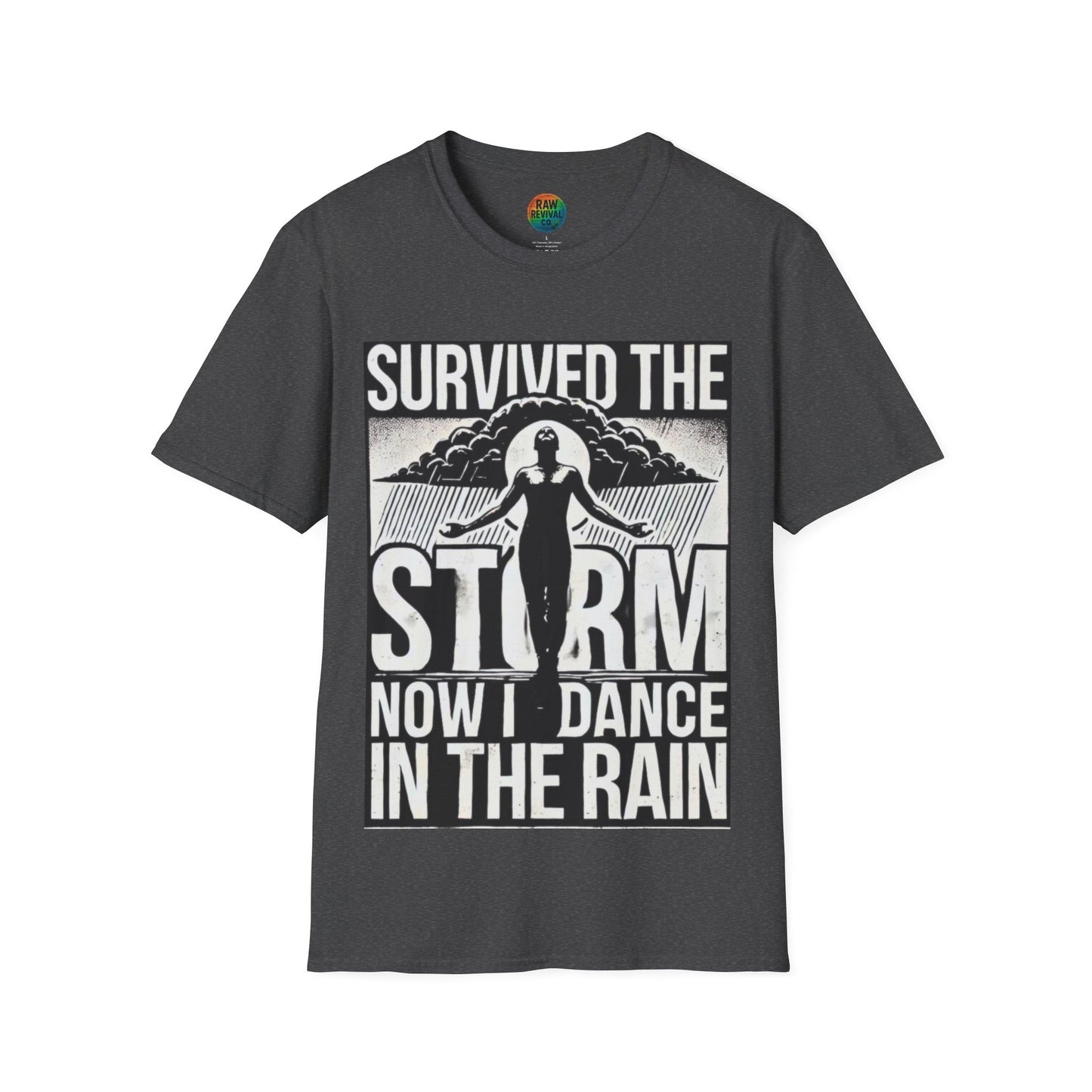 Survived the Storm