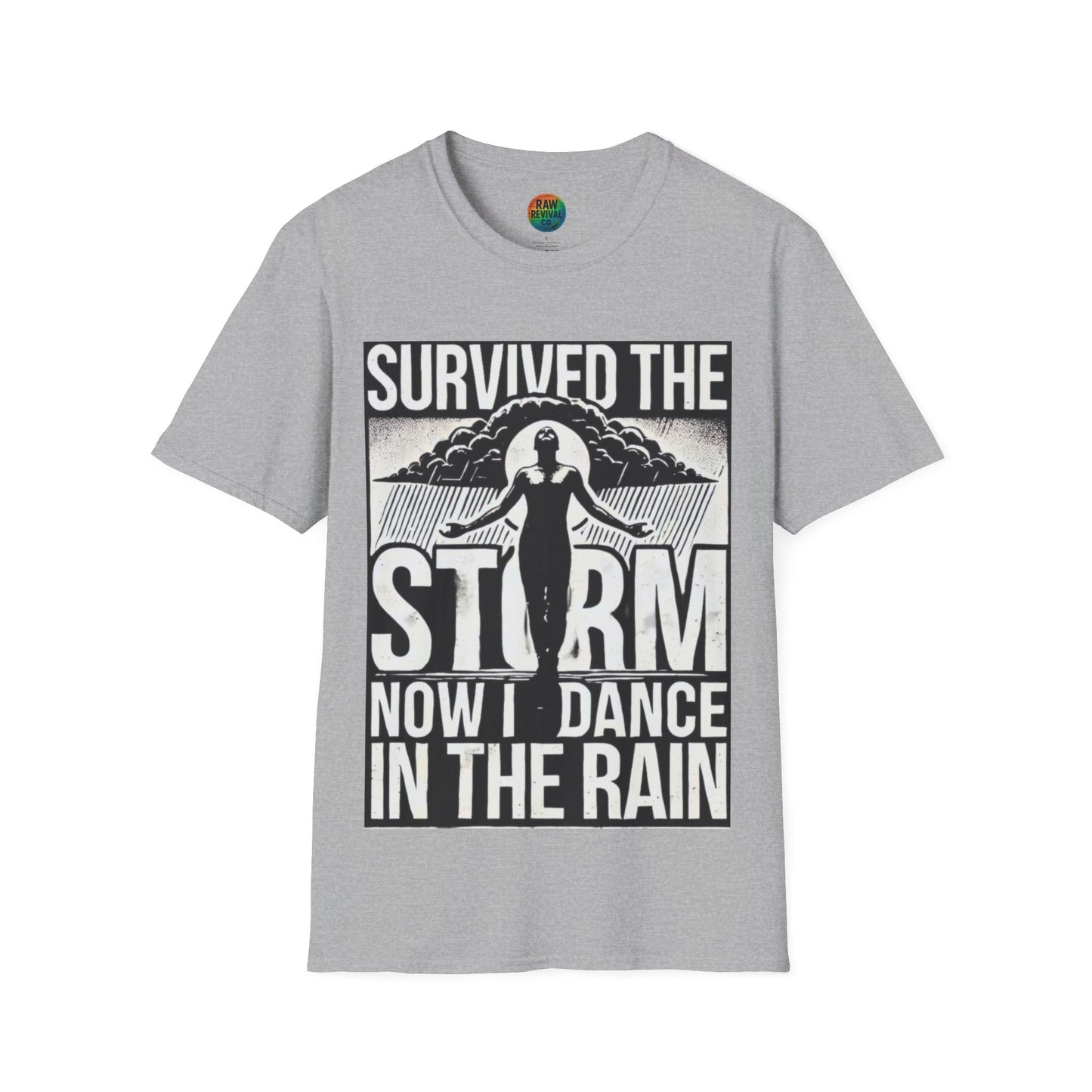Survived the Storm